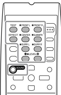 TEST • FRONT L • FRONT R EFFECT • CENTER • SUBWFR • SURR L • SURR R • LEVEL + SOUND