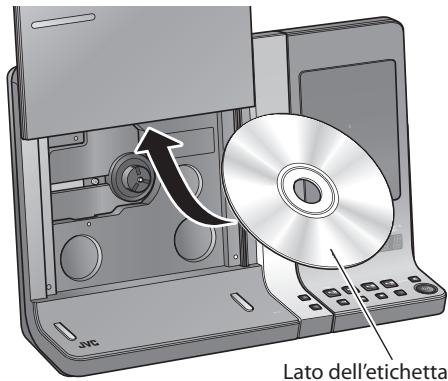 Lato dell'etichetta