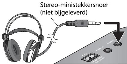 Stereo-ministekkersnoer (niet bijgeleverd)