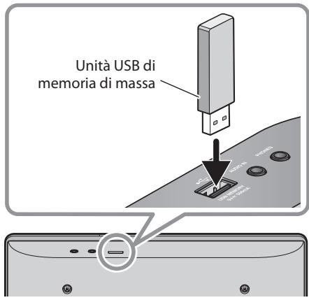 Unità USB di memoria di massa