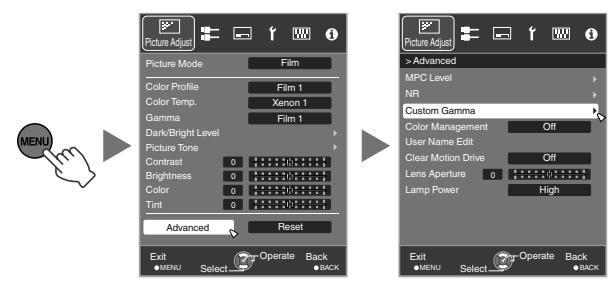 JVC DLA-X55R - Adjusting to the Preferred Gamma Setting (Custom Gamma) - 1