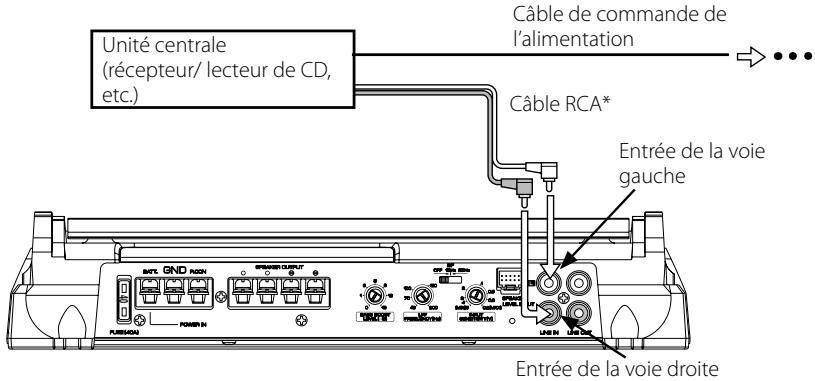 KENWOOD KAC-8103D - Cable RCA ou connexion d'entrée de niveau d'enceinte - 1
