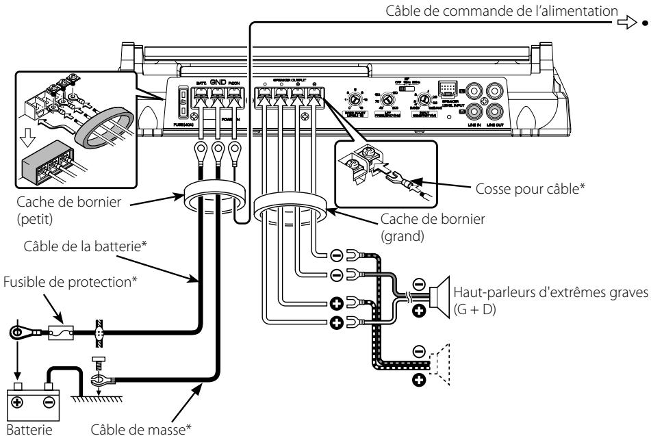 KENWOOD KAC-8103D - Cable RCA ou connexion d'entrée de niveau d'enceinte - 3