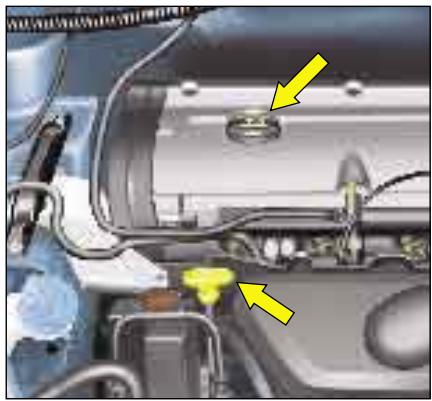 CITROEN XSARA PICASSO - Huile moteur - 1