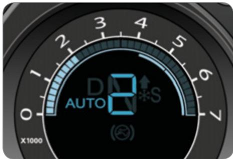 D AUTO 8 S X1000