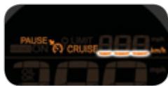 PAUSE ON LIMIT CRUISE