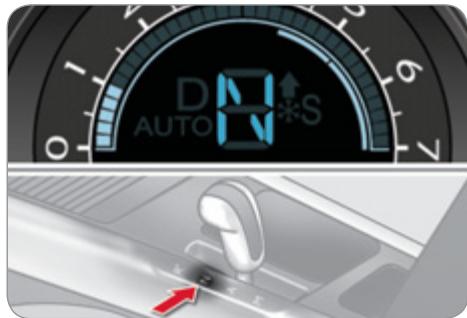 D AUTO S