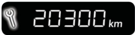 20300km