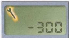 -300