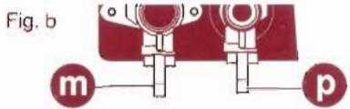 Fig. b m p