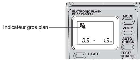 OLYMPUS FL-50 - Prise de vue gros plan au flash - 2