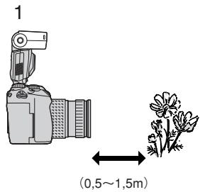 OLYMPUS FL-50 - Prise de vue gros plan au flash - 1