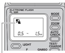 OLYMPUS FL-50R - Prise de vue gros plan au flash - 2