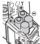 OLYMPUS FL-600R - Einlagen der Batterien - 2