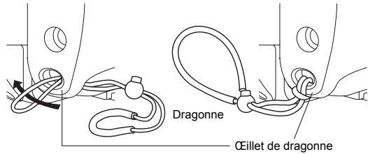 OLYMPUS PT-041 - Mise en place de la couroie. - 1