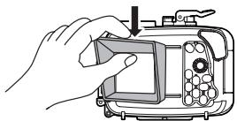 OLYMPUS PT-041 - Retrait - 2