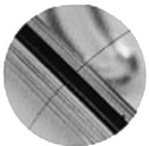 OLYMPUS PT-041 - Para la prevencion de accidentes por filtracion de agua - 1