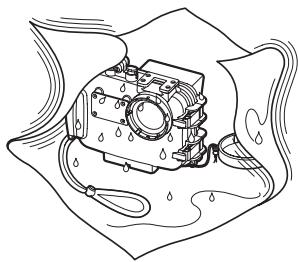 OLYMPUS PT-041 - Entfernen von Wassertropfen - 1