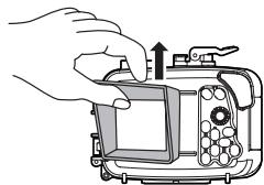 OLYMPUS PT-041 - Retrait - 3