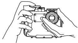 OLYMPUS PT-041 - Sostener la caja - 2