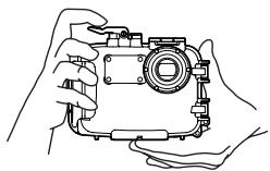 OLYMPUS PT-041 - Sostener la caja - 1