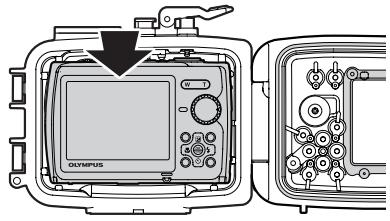 OLYMPUS PT-041 - Insérer l'appareil photo numérique. - 1