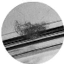 OLYMPUS PT-041 - For Prevention of Water Leakage Accidents - 2