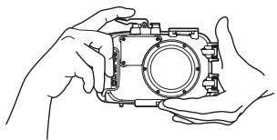 OLYMPUS PT-042 - Holding the Case - 1