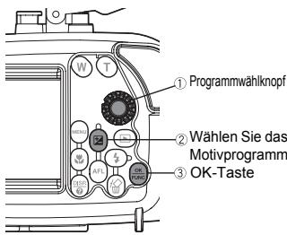 OLYMPUS PT-042 - So wahlen Sie ein Aufnahmeprogramm/Motivprogramm - 1