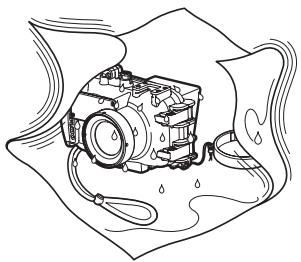 OLYMPUS PT-042 - Essuyer toutegoutted'eau. - 1