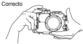 OLYMPUS PT-042 - Sostener la caja - 1