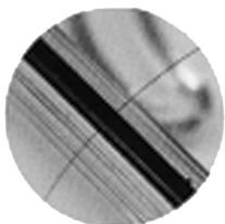 OLYMPUS PT-042 - Gewährleistung der Wasserdichtigkeit - 1