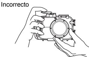 OLYMPUS PT-042 - Sostener la caja - 2