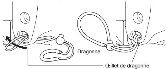 OLYMPUS PT-043 - Mise en place de la couroie. - 1