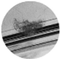 OLYMPUS PT-043 - Pour éviter des accidents de fuite d'eau - 2