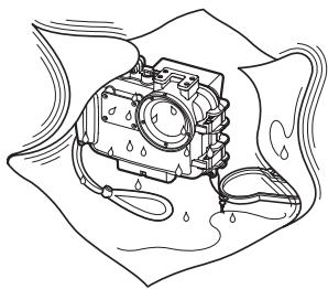 OLYMPUS PT-043 - Entfernen von Wassertropfen - 1