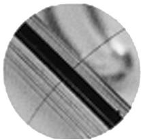 OLYMPUS PT-043 - Gewährleistung der Wasserdichtigkeit - 1