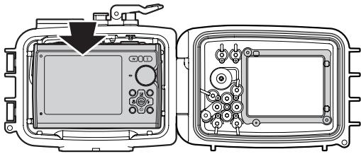 OLYMPUS PT-043 - Insérer l'appareil photo numérique. - 1
