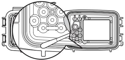 OLYMPUS PT-043 - Reinigen des O-Rings - 2