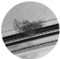 OLYMPUS PT-043 - Gewährleistung der Wasserdichtigkeit - 2