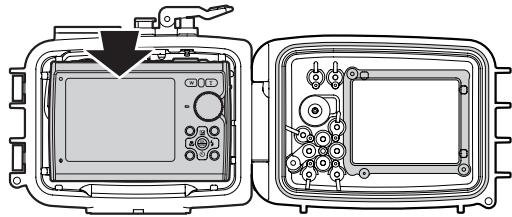 OLYMPUS PT-043 - Setzen Sie die Digitalkamera ein. - 1