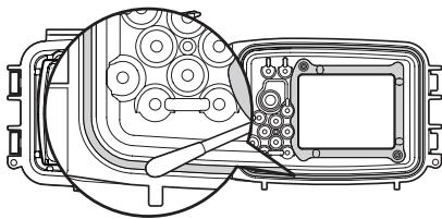 OLYMPUS PT-043 - Remove any sand, dirt, etc. - 2