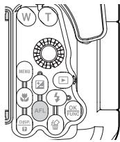 OLYMPUS PT-043 - Locking AF during underwater shooting - 1