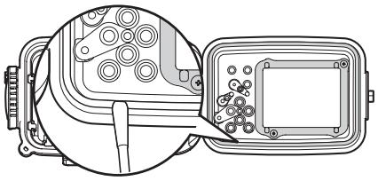 OLYMPUS PT-046 - Quite toda arena, suciedad, etc. - 2