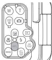 OLYMPUS PT-046 - Locking AF during underwater shooting - 1