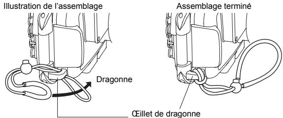 OLYMPUS PT-046 - Mise en place de la courroie - 1