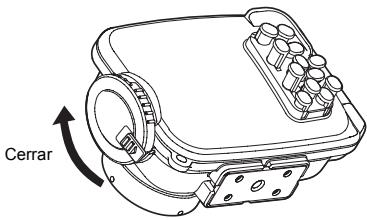 OLYMPUS PT-046 - Selle la caja - 1