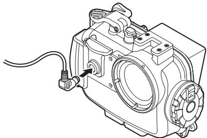 OLYMPUS PT-047 - How to install - 2