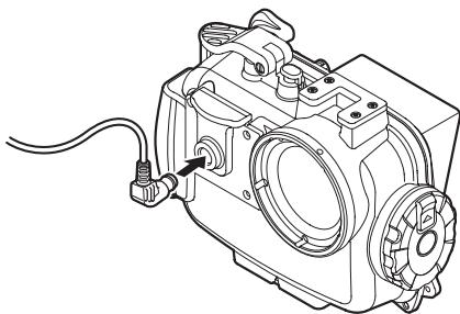 OLYMPUS PT-047 - Installation - 2