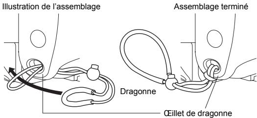 OLYMPUS PT-047 - Mise en place de la courroie - 1